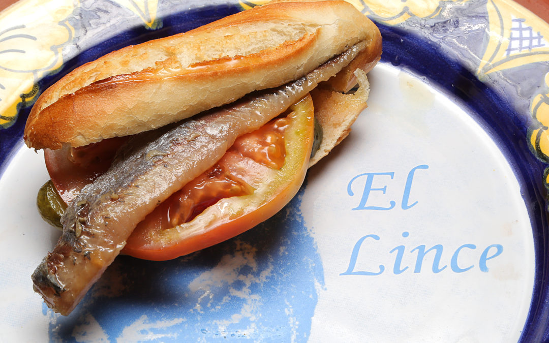El Lince