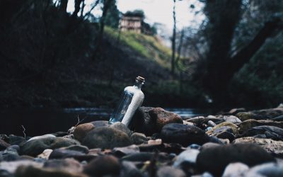 El Gobierno hará una ley contra el consumo de alcohol por menores